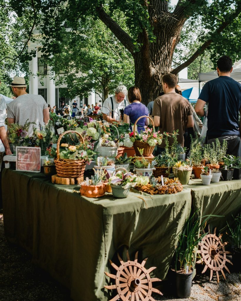 people shopping at farmer’s market booths