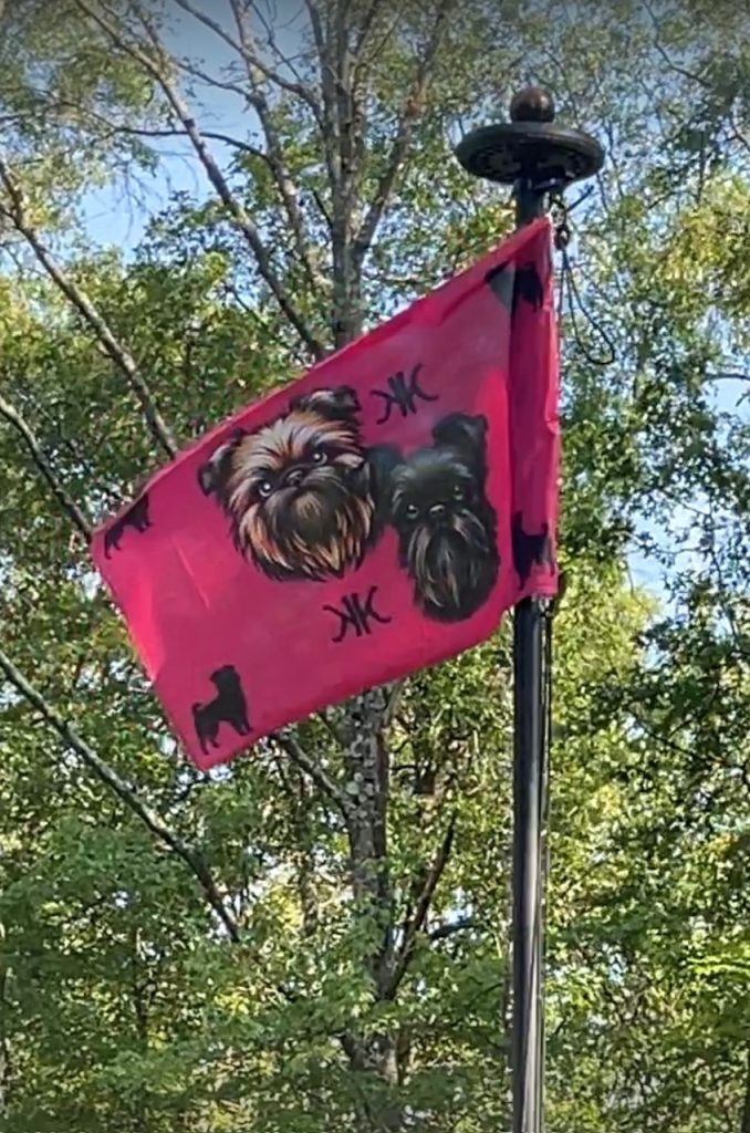 a red tangled flag