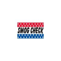 SMOG CHECK 3×5 Flag