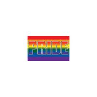Rainbow Pride 3×5 Flag