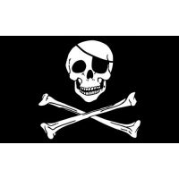 Skull Bones Pirate Flag