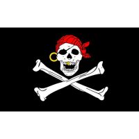 Gold Teeth Skull Pirate Flag