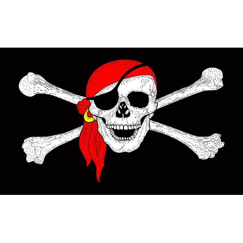 https://featherflagnation.com/wp-content/uploads/357-Red-Bandana-Pirate-3x5-flag.jpg