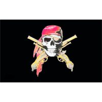 Skull with Guns Pirate Flag