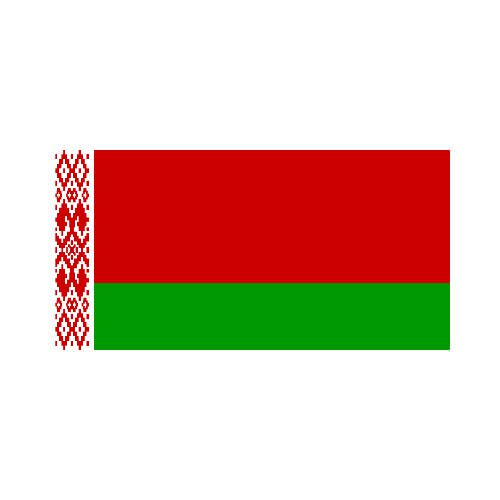 [OUT OF STOCK] Belarus 3x5 Flag