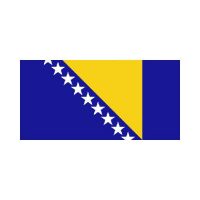 Bosnia 3×5 Flag