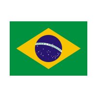 Brazil 3×5 Flag