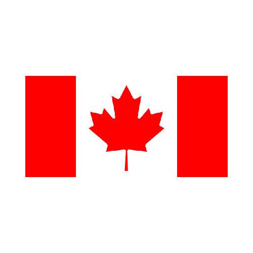 3x5 USA America Canada Canadian Friendship Alliance 3'x5' 100D Flag Grommets 