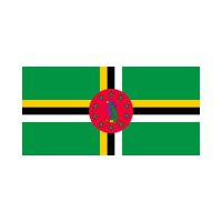 Dominica 3×5 Flag