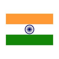India 3×5 Flag