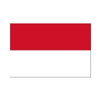 Indonesia 3×5 Flag