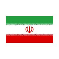 Iran 3×5 Flag