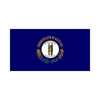 Kentucky State 3×5 flag