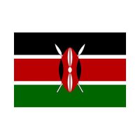 Kenya 3×5 Flag
