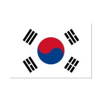 Korea 3×5 Flag