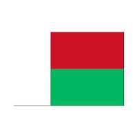 Madagascar 3×5 Flag