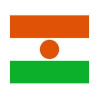 Niger 3×5 Flag