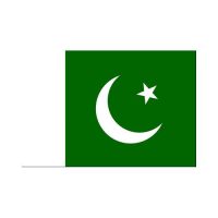 Pakistan 3×5 Flag