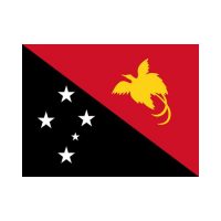 Papua New Guinea 3×5 Flag
