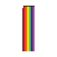 Rainbow Rectangle Flag