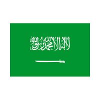 Saudi Arabia 3×5 Flag