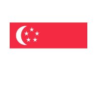 Singapore 3×5 Flag