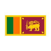 Sir Lanka 3×5 Flag