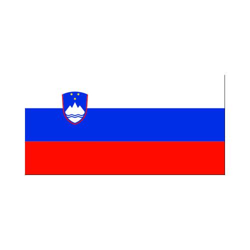 [OUT OF STOCK] Slovenia 3x5 Flag