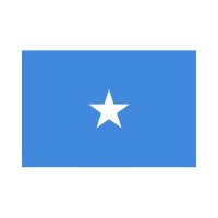 Somalia 3×5 Flag