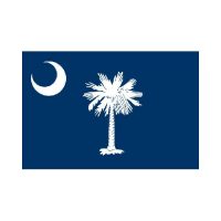 South Carolina State 3×5 flag