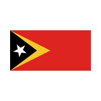 Timor 3×5 Flag