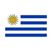 Uruguay 3×5 Flag