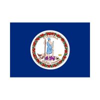 Virginia State 3×5 flag