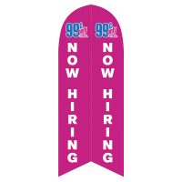 99 Cent Store Now Hiring Feather Flag with Ground Spike