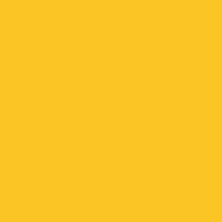 Solid Golden Yellow Colored 3x5 Flag