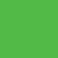 Solid Light Green Colored 3x5 Flag