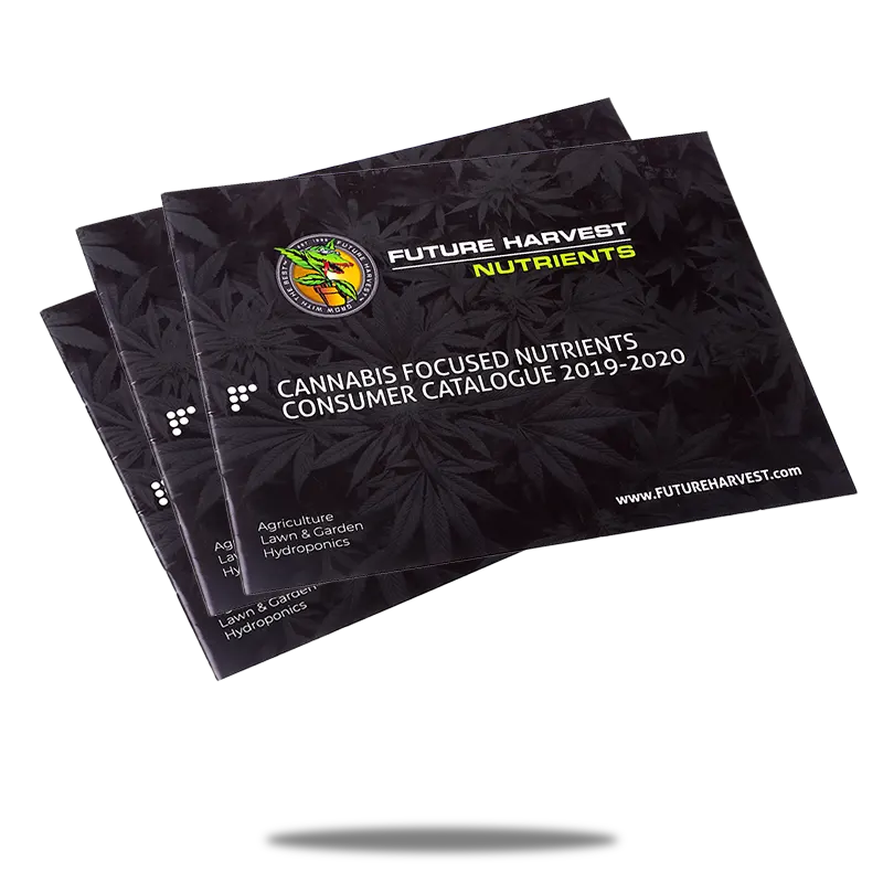stapled-booklet-printing